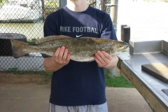 20150708_092507_resized