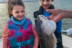 2325826927816187883-Edit