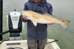 Darryl-Tagle-26-inch-Redfish
