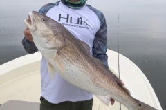 IMG_0224-CAPT-PAUL