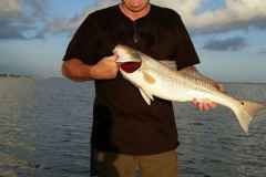 davidlovelady