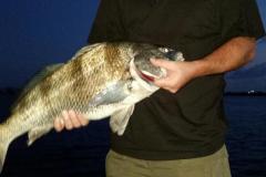davidlovelady3